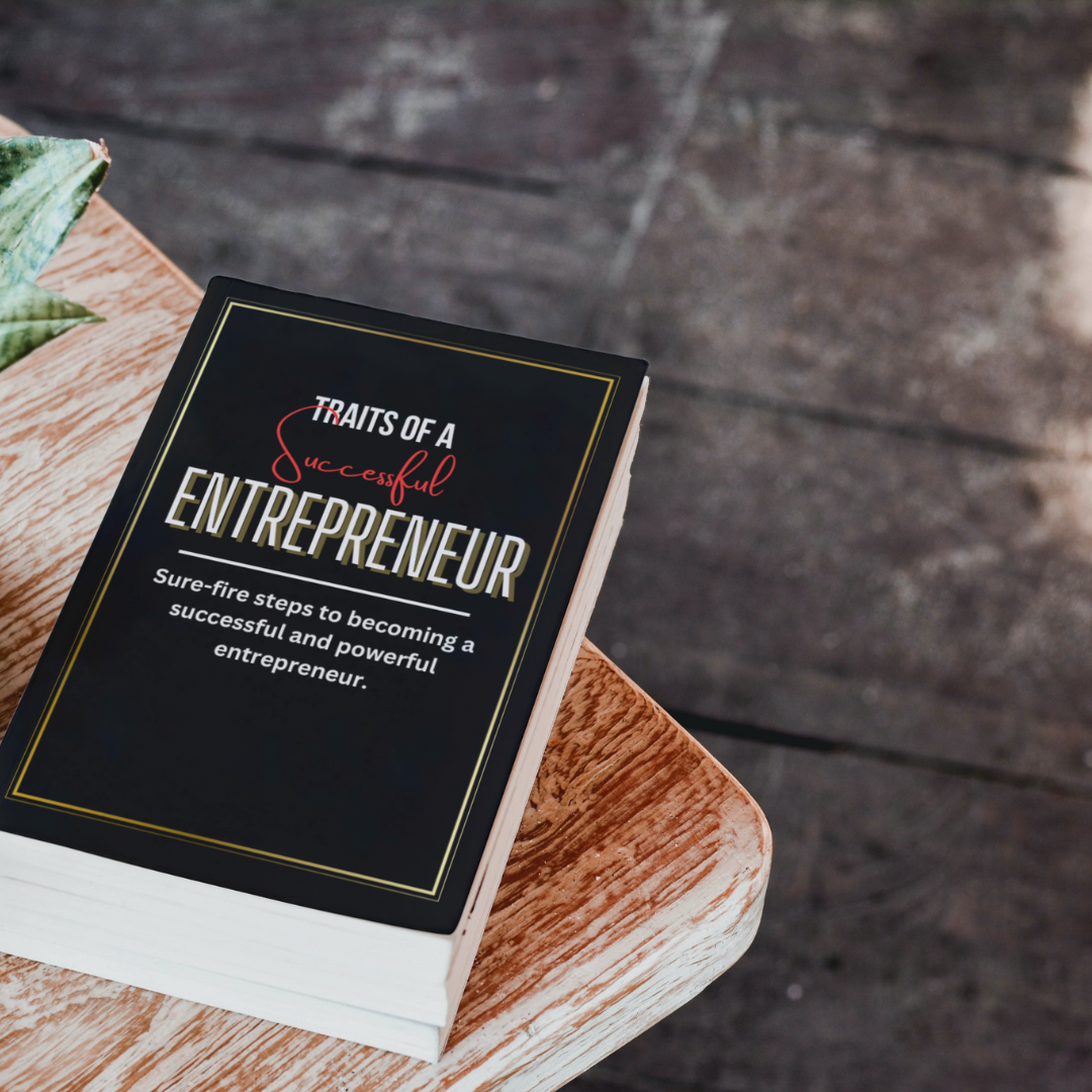 plr product entrepreneur ebook